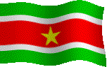 Flag van Suriname