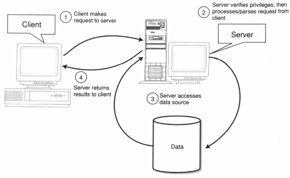The Client/Server Model